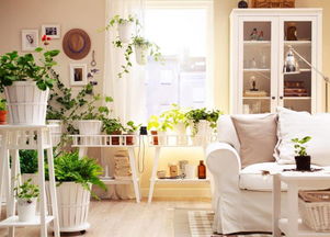 自貢酷暑來襲，空調19個節能省錢竅門，九成家庭還不知道